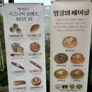 평택 만세로 제과명장 베이커리 카페, 빵과 당신 후기