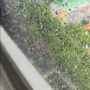 씨유 평택서정캐슬점 | 평택시 서정동 평택롯데캐슬 아파트 시원한 인심에 감동! 발수미세촘촘 발수망 시공 후기 청년방충망...