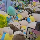 탑 뽑기방 이미지