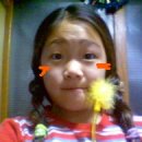 민지당 Daum카페