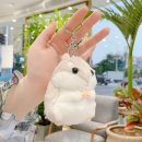 보들보들 이미지