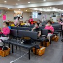 3H 지압침대 이미지