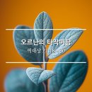 오르난 티스토리