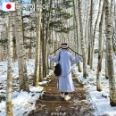 시내권 투어 1 | 삿포로 비에이 버스투어 인디고트래블 예약 후기