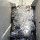 푸른소리오션 이미지