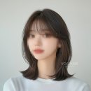 안양천로 이미지
