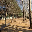 호수공원주유소 이미지