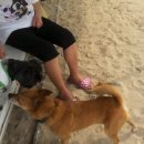 행복펜션 이미지