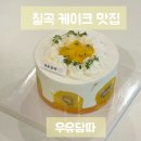 대구 칠곡 케이크 맛집 우유담따, 계절과일 가득한 골드키위 케이크 후기