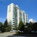 둔산북로 이미지