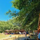 숲속식당민박 | 평상 예약 전쟁? 팔공산 계곡 물놀이 숲속식당 주말 솔직후기+꿀팁