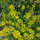 낙동강세평하늘길 이미지