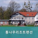 대천통나무리조트 이미지