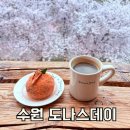 황구지길 | 지금 안 가면 1년을 후회합니다! 황구지천 벚꽃엔딩 도나스데이 막차 타세요!