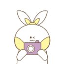 와이틴