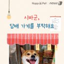 담배가게 뉴스1