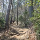 옥녀봉식당 이미지