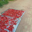 샌치하다 | 2025년 8월 일상(4)