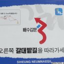 늠내길 2코스 갯골길 티스토리