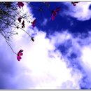 원과네모 이미지