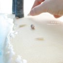 톡톡공작실