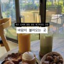 김광석길 벽화 | [대구 대봉동 카페] 에그타르트 맛집 디저트 맛집 “바람이 불어오는 곳”