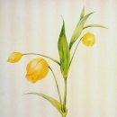 보타니컬화 이미지