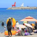 제주테우문화 이미지