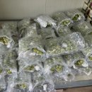 완주농장 이미지