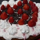 케이쿠케이쿠
