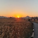 순천만습지 이미지