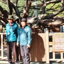 부산근대역사관 이미지