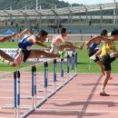 빛고을초교 이미지