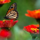 남촌약국 이미지