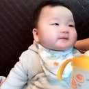 하진