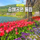 송해공원 제1주차장 | 대구 송해공원 튤립 개화상황 만개 주차장 방문 팁 총정리