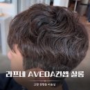 드라이다운핏 | 일산 장항동 정발산역 미용실 라프네 헤어 태우실장님 남자 쉐도우펌+다운펌 후기
