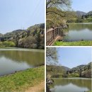 세량제 | 강아지랑 산책 트레킹하기 좋은곳 화순 세량제(세량지)