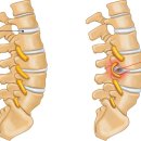 21세기 충주제통의원 이미지