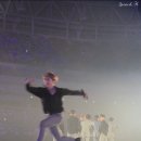 댕댕# 이미지