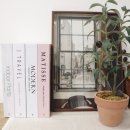 모던플랜츠 이미지