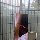 현대미술관 | 국립현대미술관 김창열 회고전 후기
