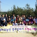 김대식농장 이미지