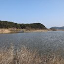 화진포둘레길(죽정리) 이미지