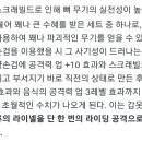 용운장의 이미지