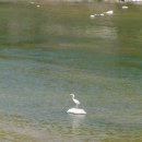 산청호수 이미지