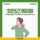 뽀빠이연합의원 이미지