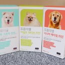 프롬퍼피 이미지