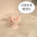 (주)모루미디어개발 | 수원시미디어센터 영화 <퇴마록> 상영회 후기