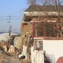 털보민박 이미지